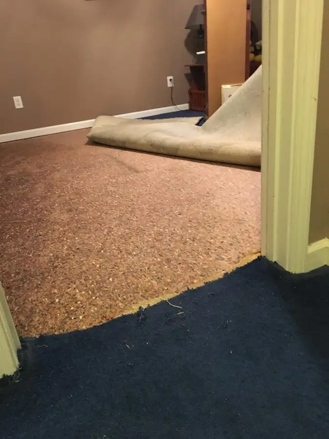 Carpet pad removal revealing water damage during Drying & Dehumidification in Spring Lake Park